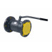Кран шаровой RJIP Premium FF Ду 125 Ру25 (фланцевый, с рукояткой, стандартный проход) 065N0945GR Ридан