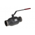 Кран шаровой RJIP Standard WW Ду 100 Ру 16 с рукояткой, стандартный проход 065N9608R Ридан